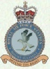 RAF Mount Pleasant